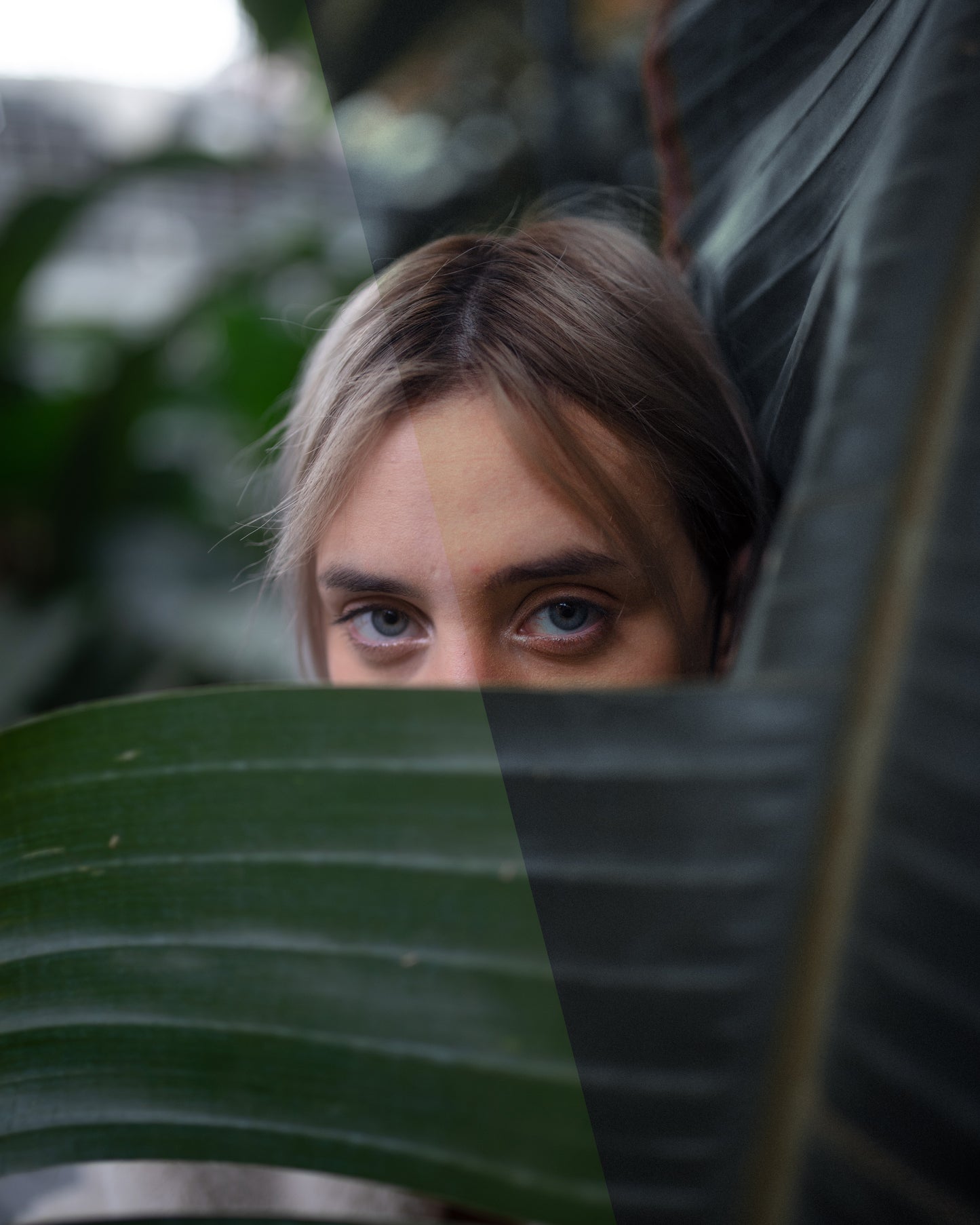 Bundle de Presets